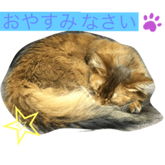Harurin_no_stamp