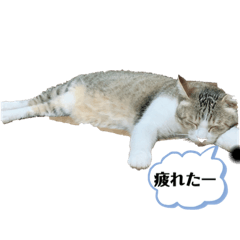 maron_20190915151506