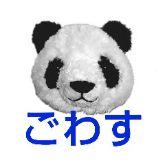 miyuki_20190915173128