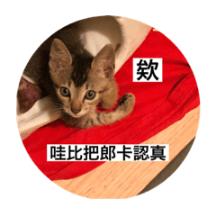 貼貼和瓜瓜