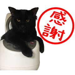 Congratulations Ryuuta-san