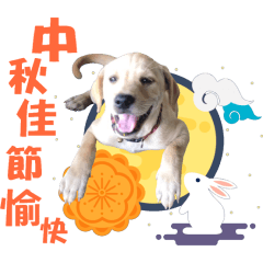 財 源 滾 滾 來