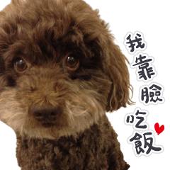 不是什麼都有的動物園