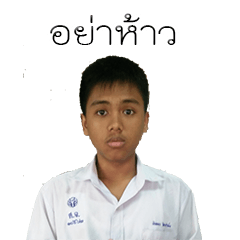 NaPiEIEi