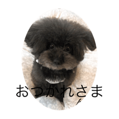 ammy_2019wan