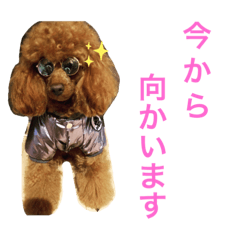 Hazuki_20190915224720