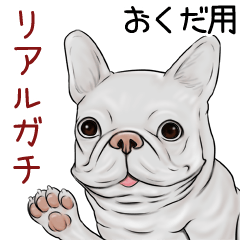 Okuda Real Gachi Pug & Bulldog