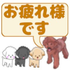Large letters and dogs.toy poodle