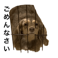 ARISA_20190915235823