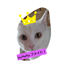 mayumi_20190915235920