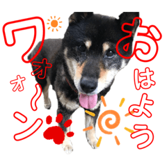 kazuki_20190916004922