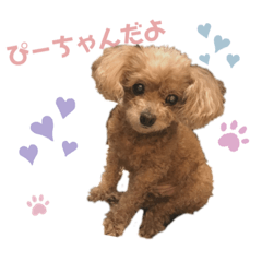 ぴーちゃんまま