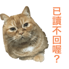 噗馬出乃玩2