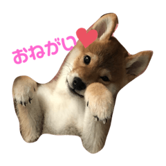 saya_20190916105110