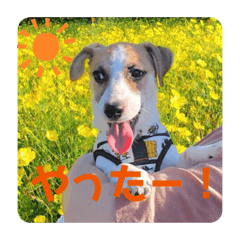 chihiro_20190916120100