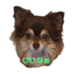 treasure_20190916123958