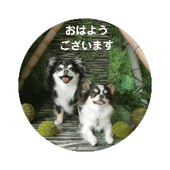 chiro_20190916125425