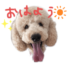 Yukari_20190916131803