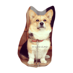 mimi_inu