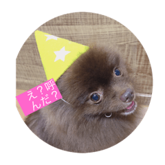 mimi_20190916152331