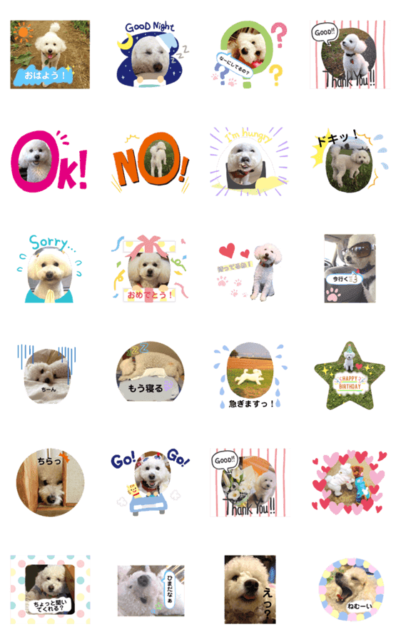 白トイプードルスタンプ Lineクリエイターズスタンプ Stamplist 白トイプードルスタンプ Lineクリエイターズスタンプ Stamplist