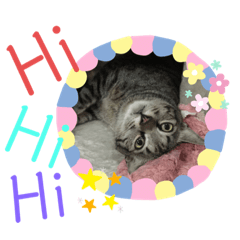 Joyce_20190916224600 - Stiker LINE | LINE STORE