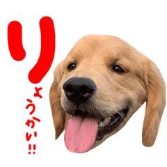 YURINA_20190916155636