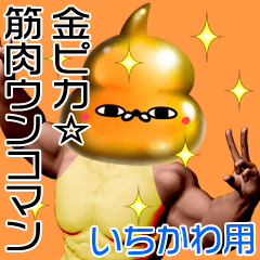 Ichikawa Gold muscle unko man