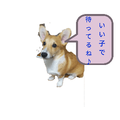 KAITO_20190916154158