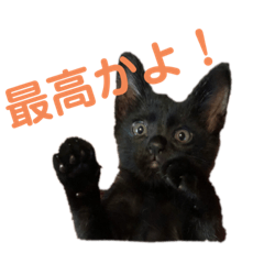 minami_20190916175757