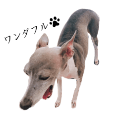 mizuki_20190916211731