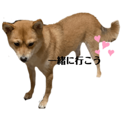 kanako_20190916220759