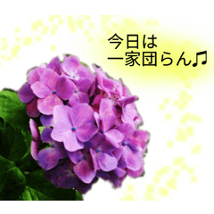 stickers - language of flowers