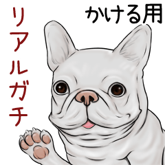 Kakeru Real Gachi Pug & Bulldog