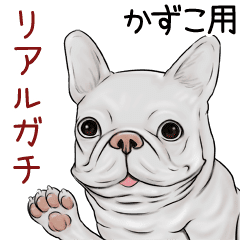 かずこ用リアルガチなパグ ブルドッグ Line スタンプ Line Store