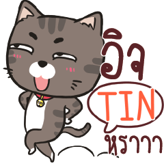 TIN charcoal meow e