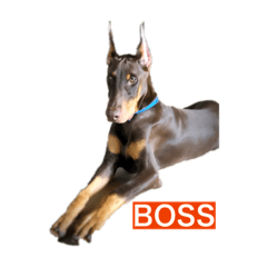 BOSS_2019091702064