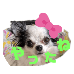 honey_20190916225013