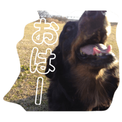 nanana_20190917010714