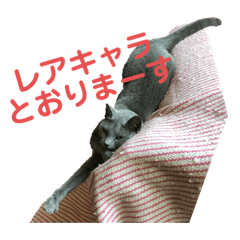 chie_20190916233127