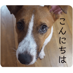 Meg_20190917065903