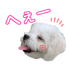 reiko_20190916230737
