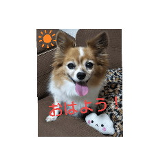 cherry_20190916235142