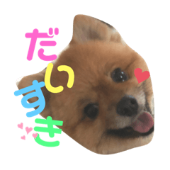 achi_20190917095315