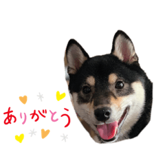 MAYA_20190917085644