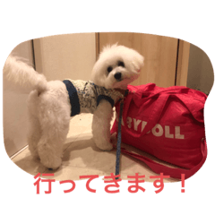 omochi_20190917101015
