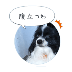 Chie_20190917155741