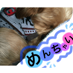 Maya_20190917182804