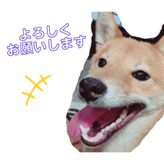 MAYA_20190917193729