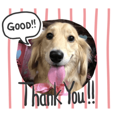 Ruby_20190917194124